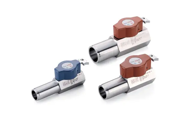 How to Choose a Ball Valve for a Malaysian Plant dk lok 116639 apvxen sssonao